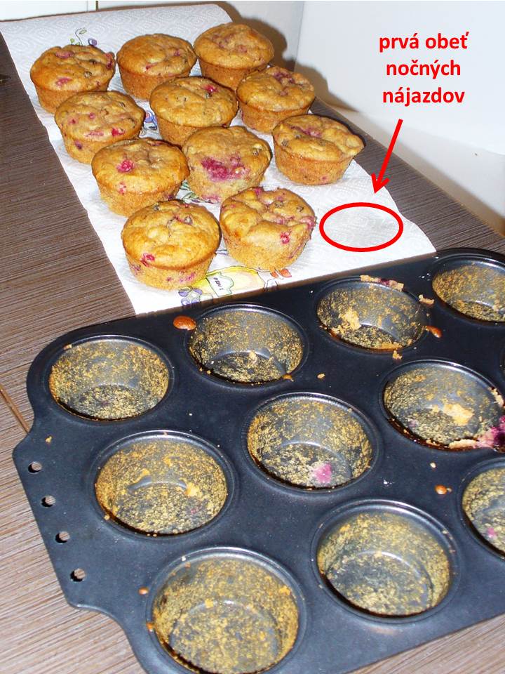 Celozrnné malinové mafiny